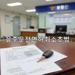 legal image 음주운전면허취소초범 2076