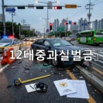 legal image 12대중과실벌금 4251