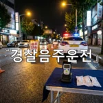 legal image 경찰음주운전 4391