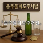 legal image 음주물피도주처벌 5225
